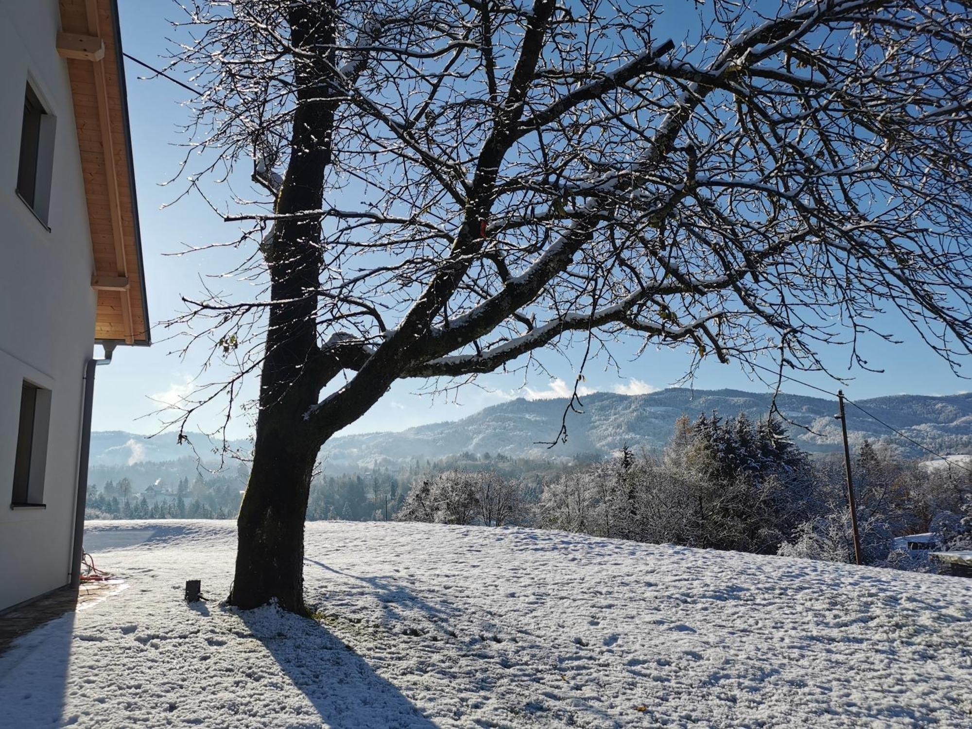 Traumhaftes Ferienhaus Am Lateinberg - 8455 Eibiswald Suedsteiermark Ngoại thất bức ảnh