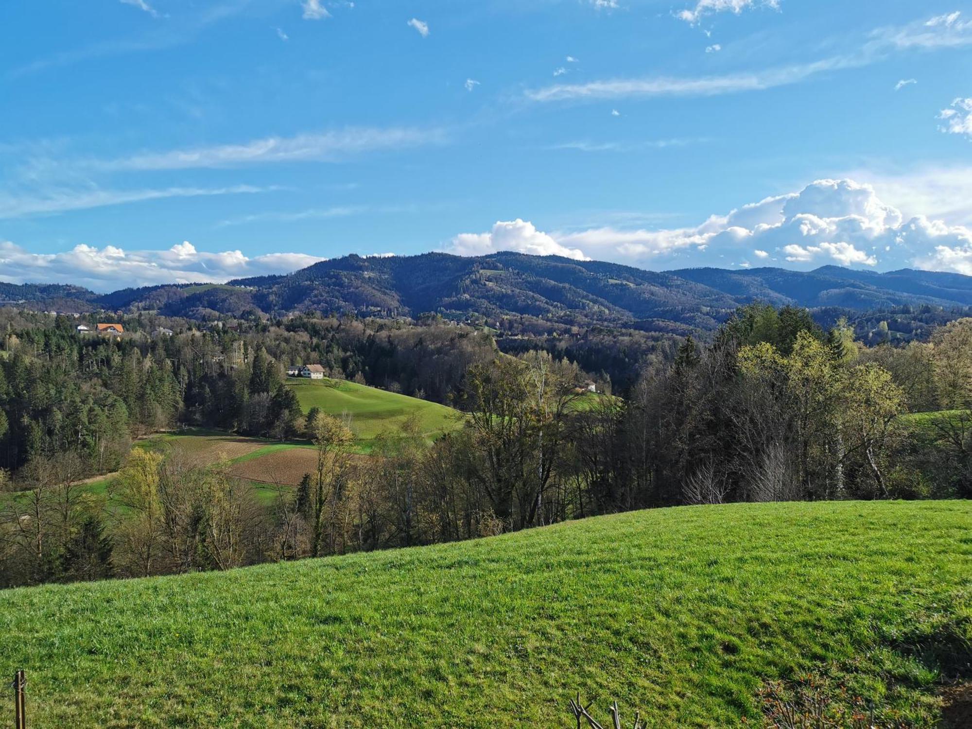 Traumhaftes Ferienhaus Am Lateinberg - 8455 Eibiswald Suedsteiermark Ngoại thất bức ảnh